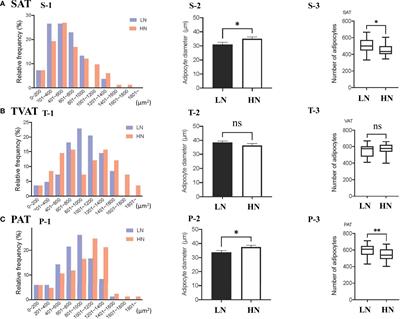 Maternal Nutrition During Gestation Alters Histochemical Properties, and mRNA and microRNA Expression in Adipose Tissue of Wagyu Fetuses